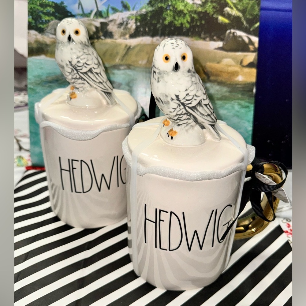 NWT Set Of 2 RAE DUNN Harry Potter HEDWIG 🦉 Mugs Canisters Artisan Collection